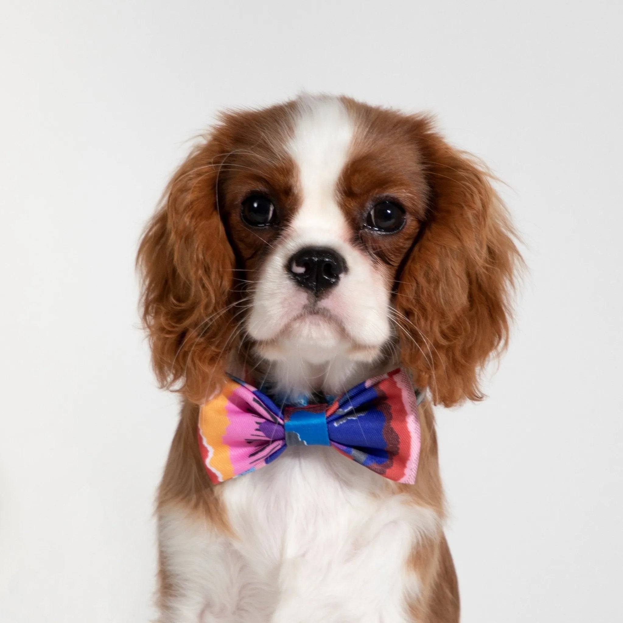 Colorful Series - Cute Bow Tie - HiDream