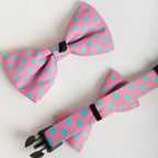 Colorful Series - Cute Bow Tie - HiDream