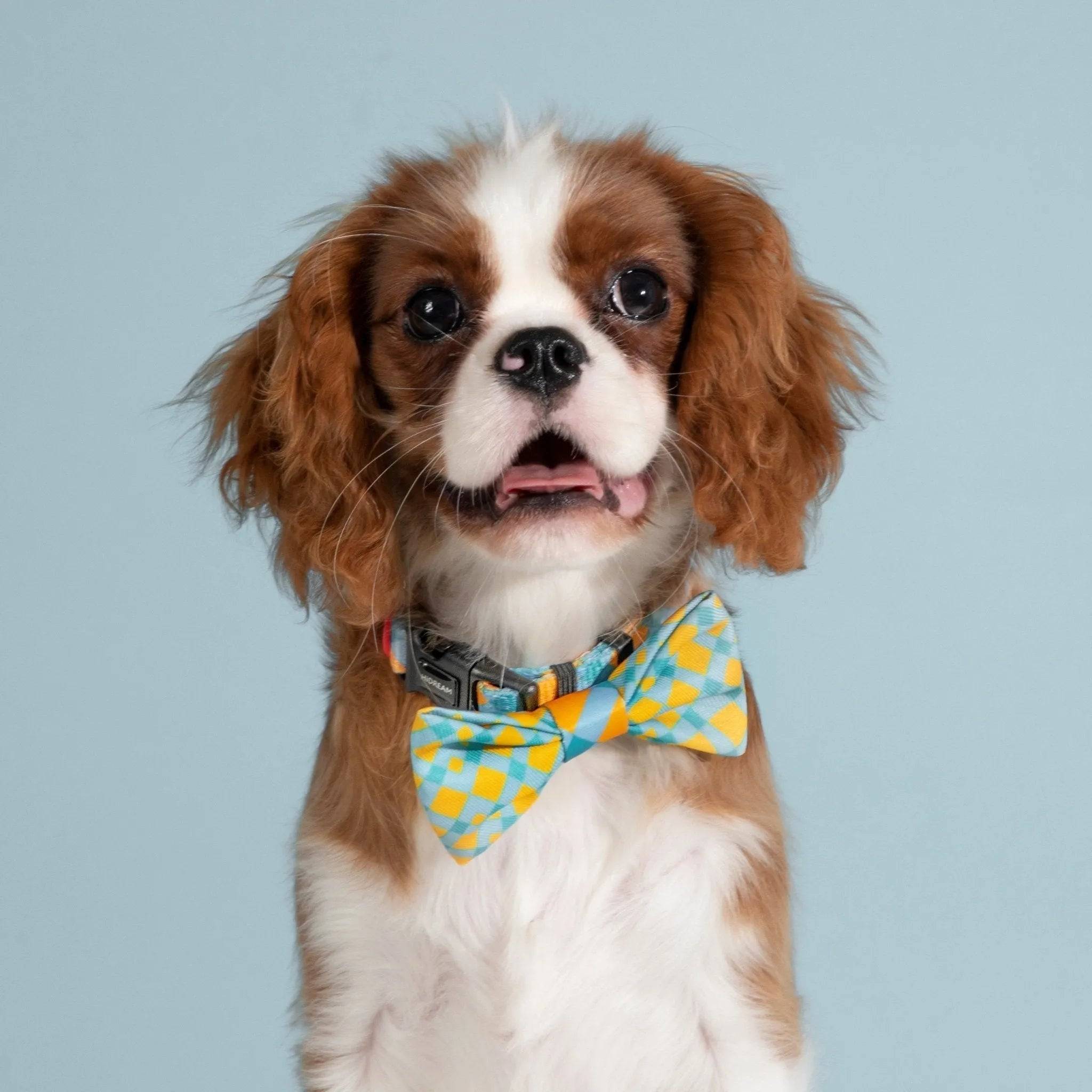 Colorful Series - Cute Bow Tie - HiDream