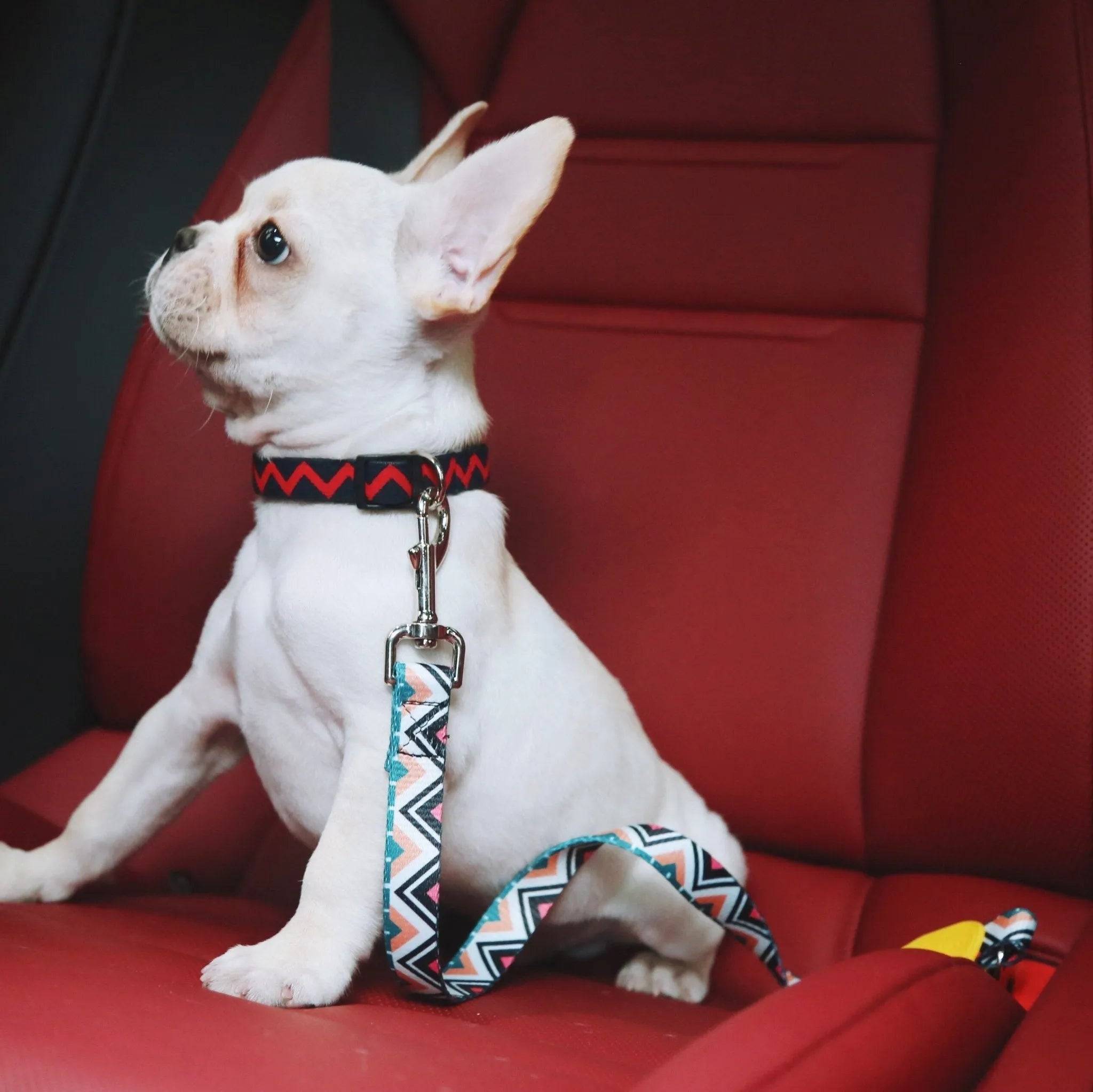 Colorful Series - Car Safety Belt - HiDream