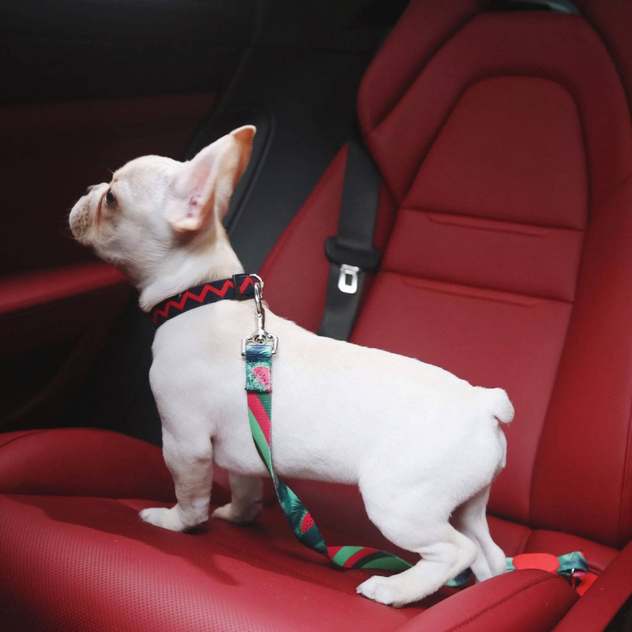Colorful Series - Car Safety Belt - HiDream