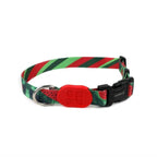 Colorful Series - Dog Colar Bundle - HiDream