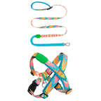 Colourful PRO - 'X' Dog Vest Bundle - HiDream