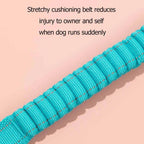 Colourful PRO - 'X' Dog Vest Bundle - HiDream