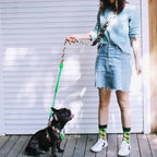 Colourful PRO - 'X' Dog Vest Bundle - HiDream