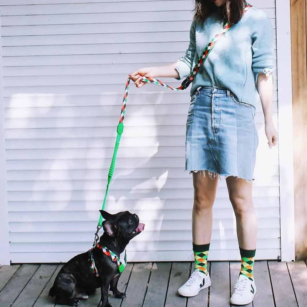Colourful PRO - 'X' Dog Vest Bundle - HiDream