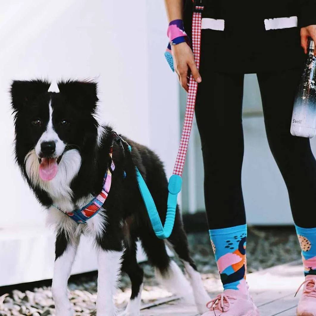 Colourful PRO - 'X' Dog Vest Bundle - HiDream