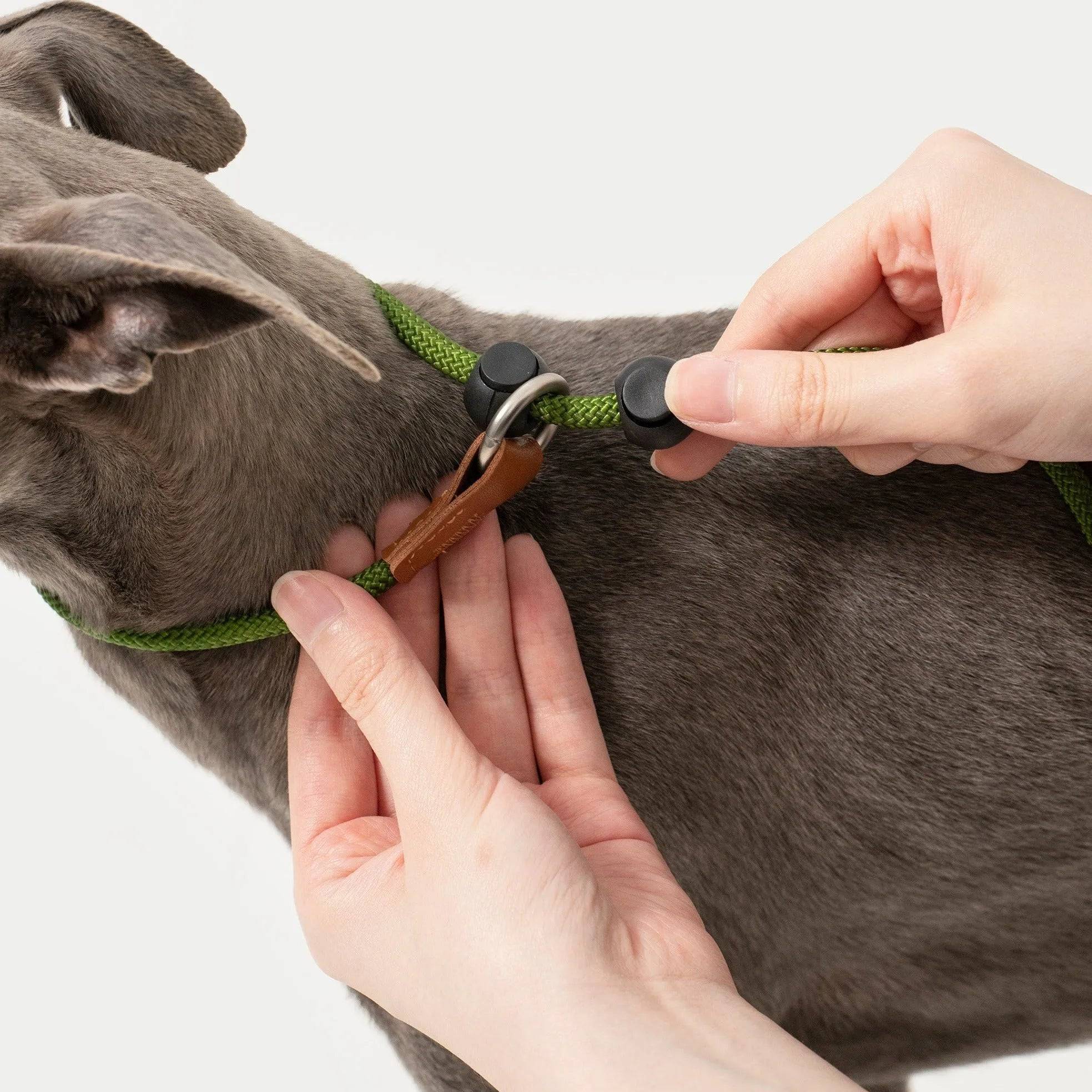 Bobo Leather Handle Control Leash - HiDream
