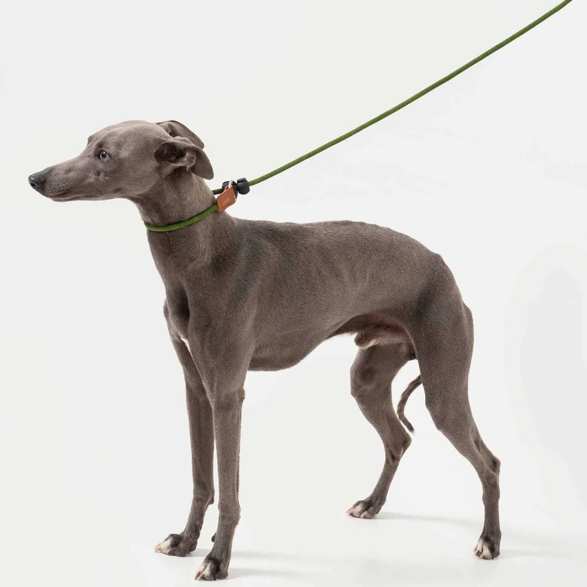 Bobo Leather Handle Control Leash - HiDream