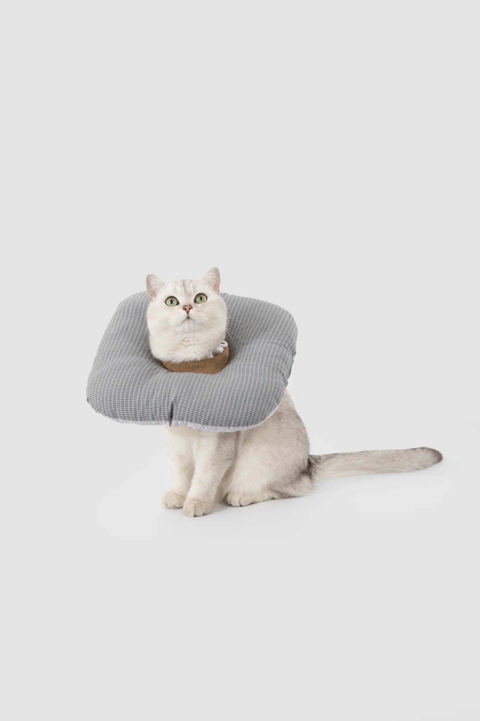 Toast Soft Pet Recovery Collar – Anti-Lick Cone for Cats & Dogs