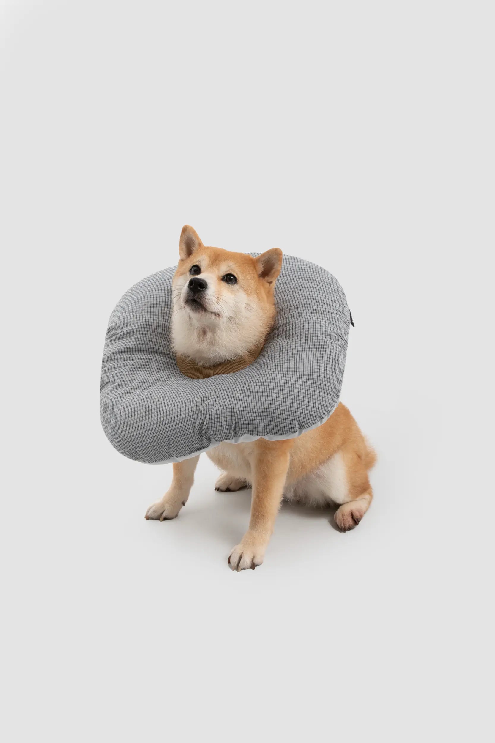 Toast Soft Pet Recovery Collar – Anti-Lick Cone for Cats & Dogs