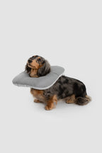 Toast Soft Pet Recovery Collar – Anti-Lick Cone for Cats & Dogs