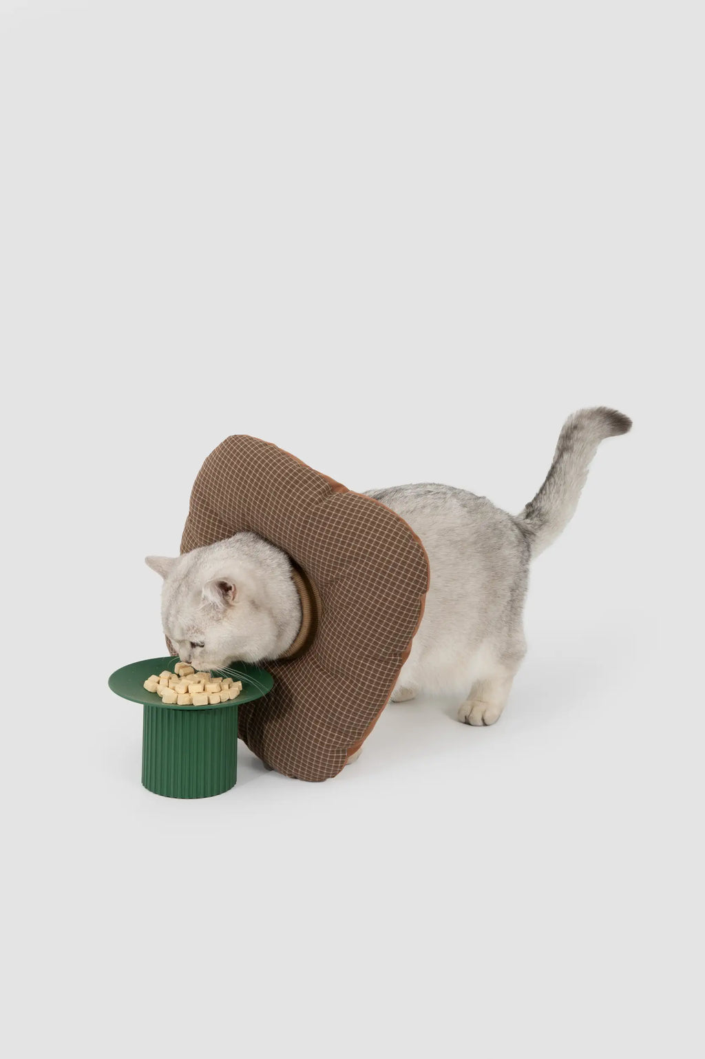 Toast Soft Pet Recovery Collar – Anti-Lick Cone for Cats & Dogs