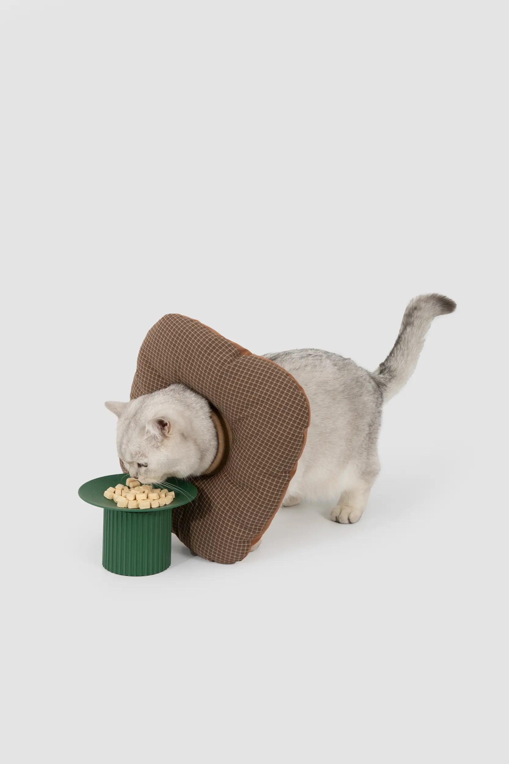 Toast Soft Pet Recovery Collar – Anti-Lick Cone for Cats & Dogs