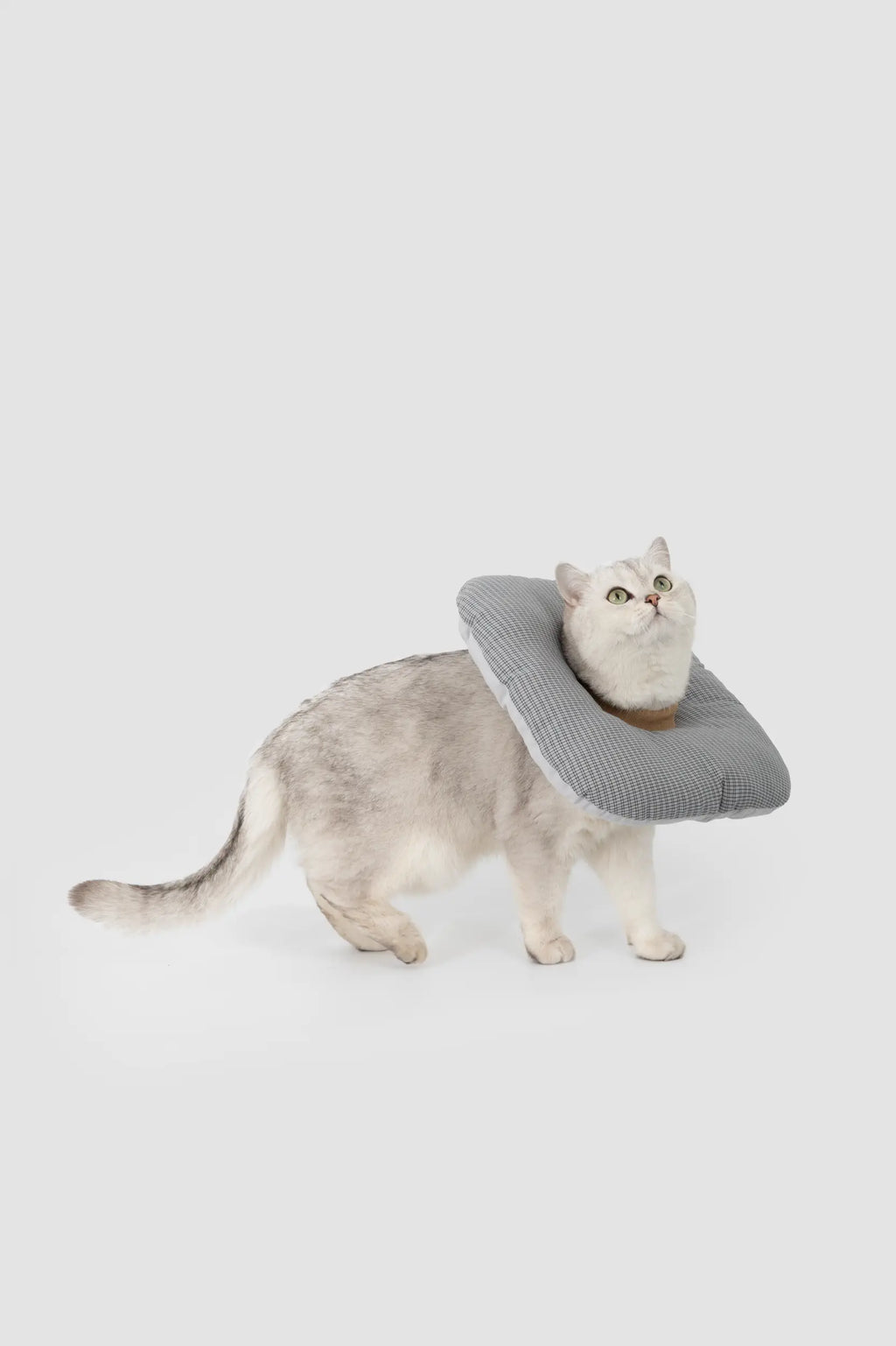 Toast Soft Pet Recovery Collar – Anti-Lick Cone for Cats & Dogs