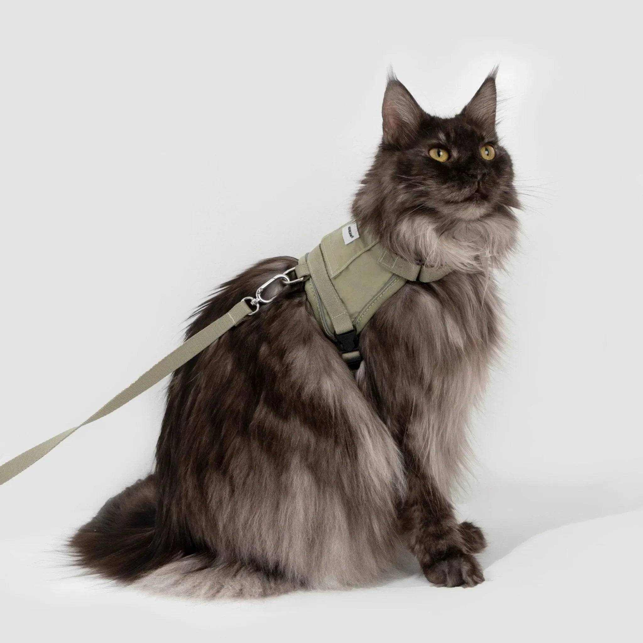 (NEW) Valley Series Cat Vest Harness Kit - HiDream