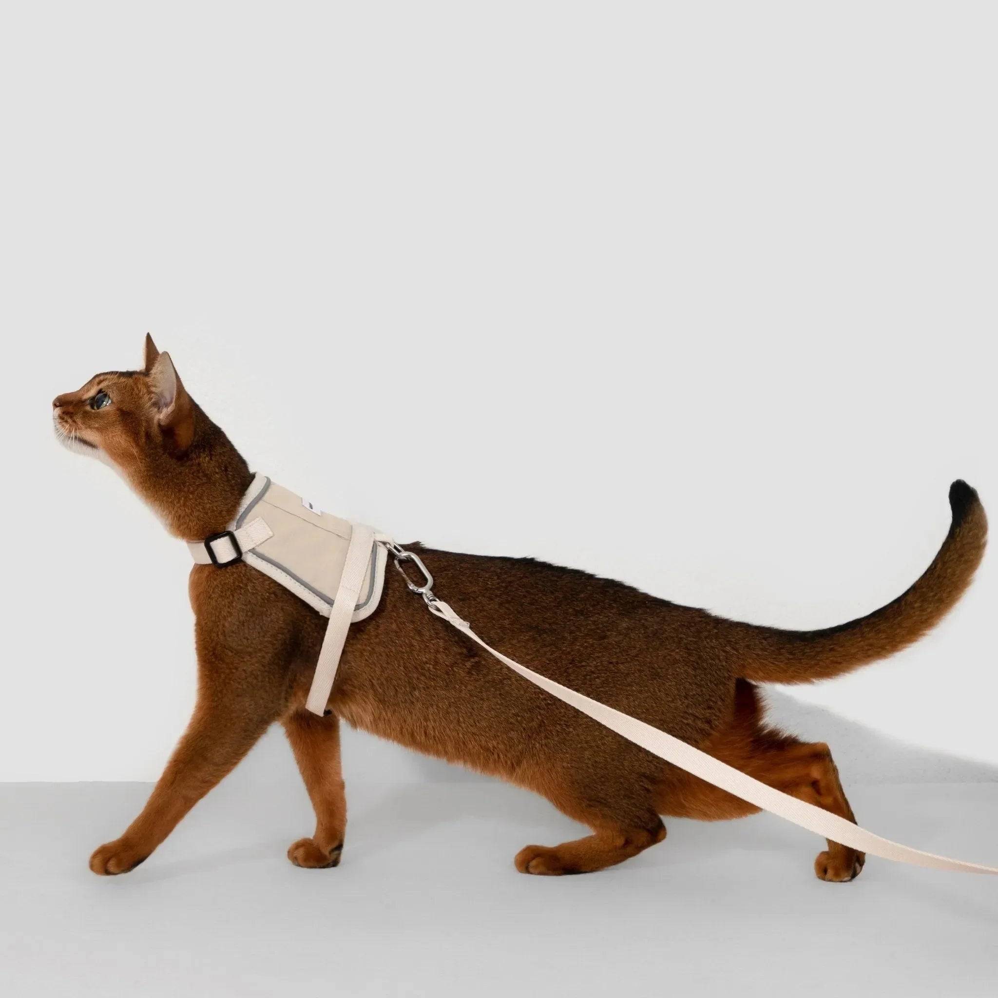 (NEW) Valley Series Cat Vest Harness Kit - HiDream