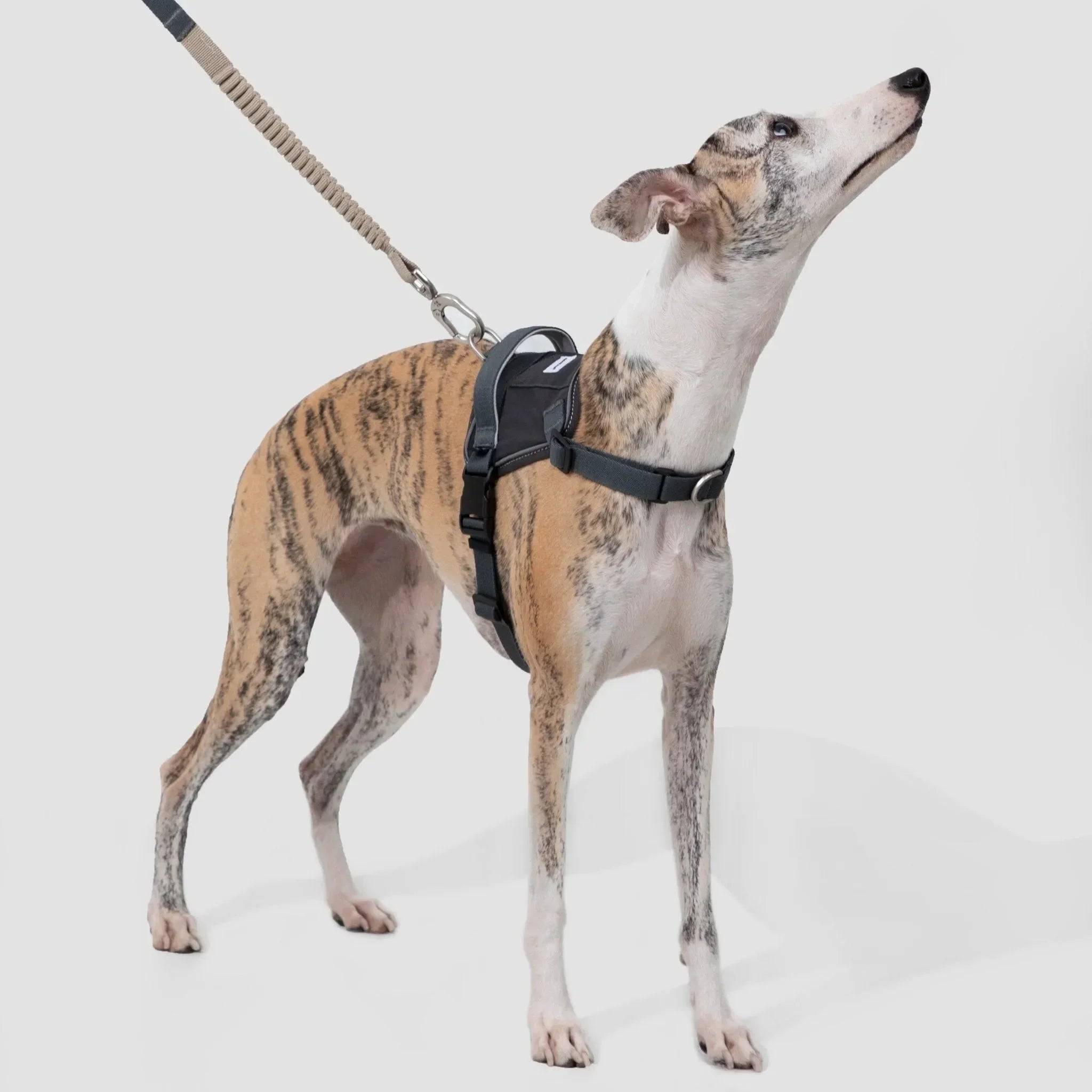 (NEW) Valley Series Dog Harness Vest Kit - HiDream
