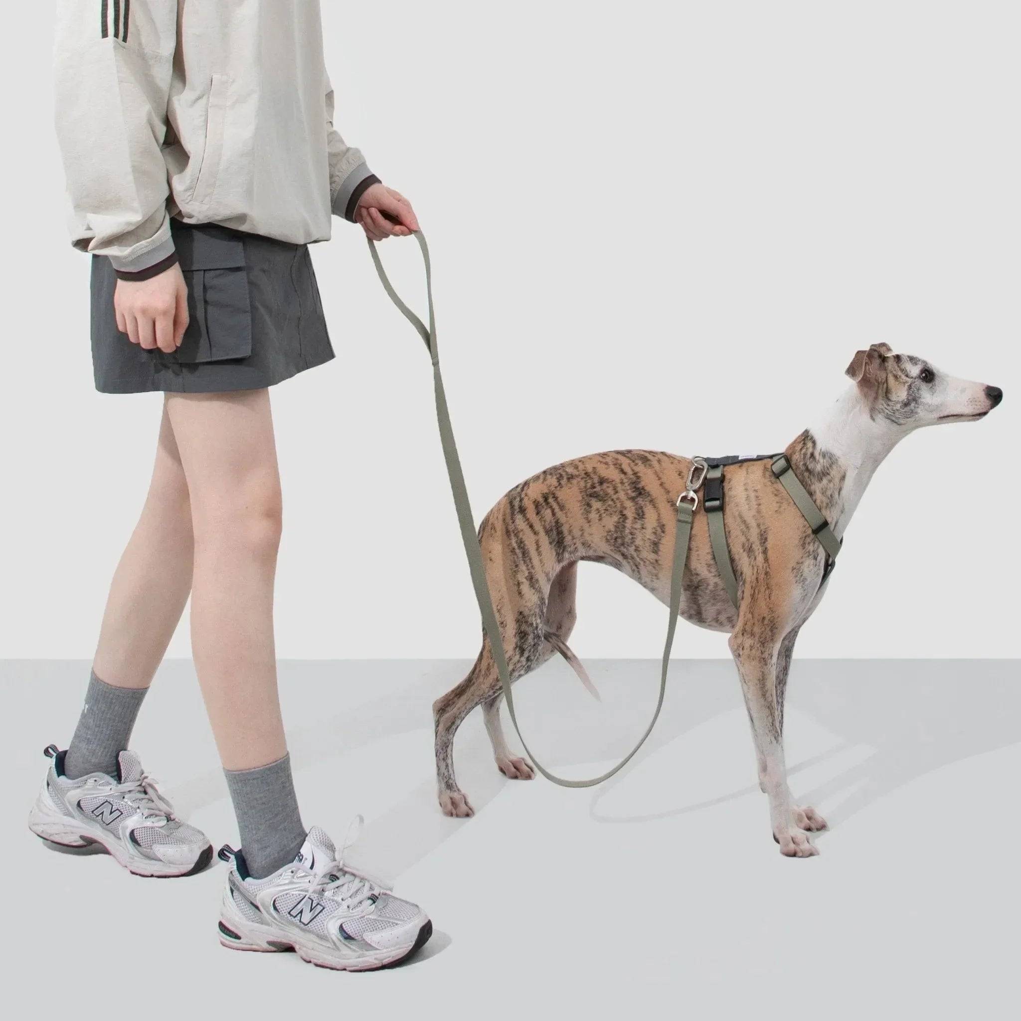 (NEW) Valley Series Dog Harness Walk Kit - HiDream