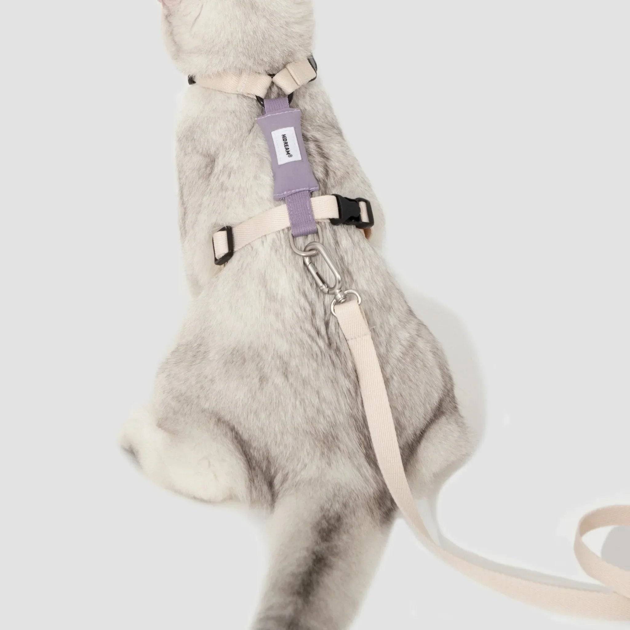 (NEW) Valley Series Light Cat Gear - HiDream