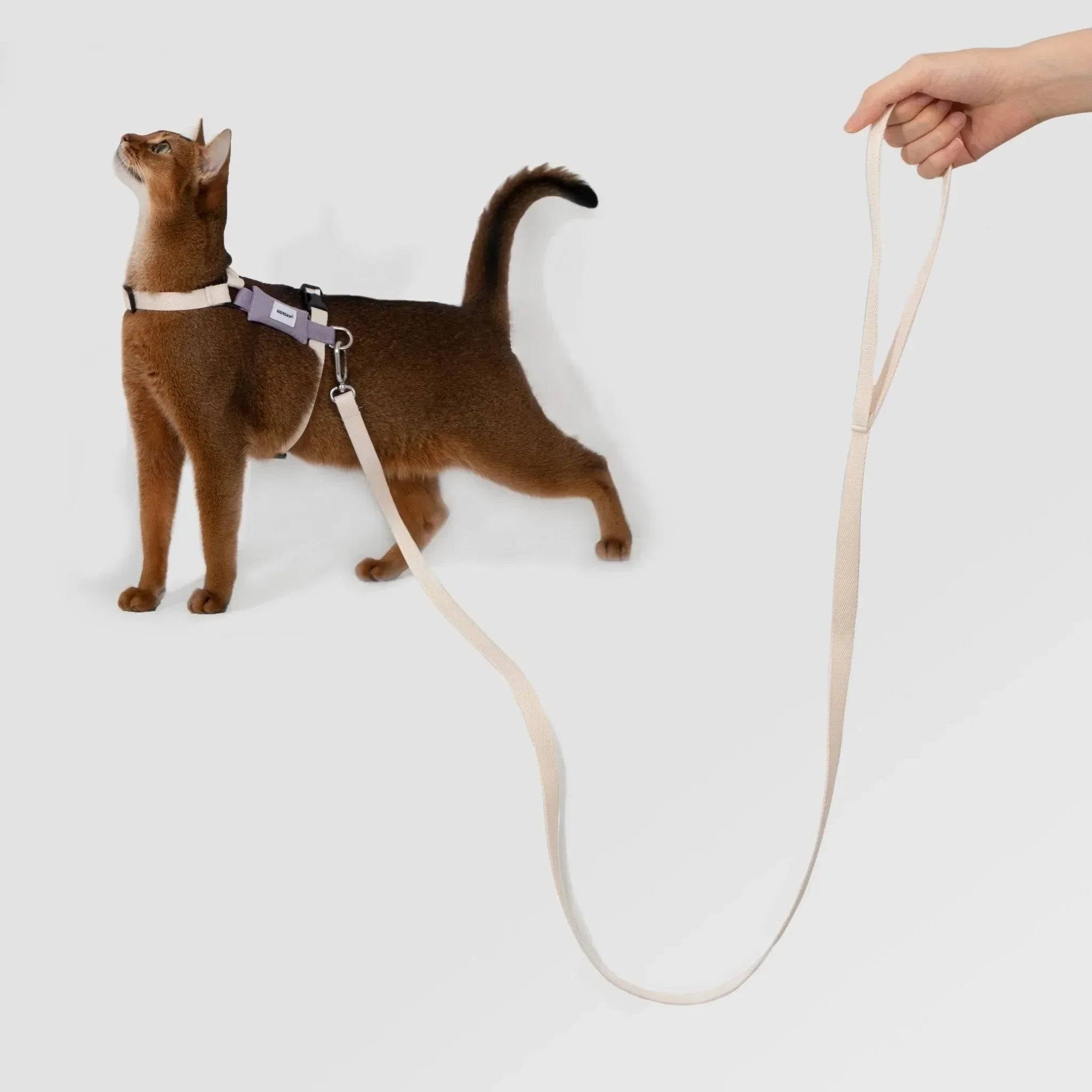 (NEW) Valley Series Light Cat Gear - HiDream