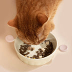 Pet Ceramic Bowl - HiDream