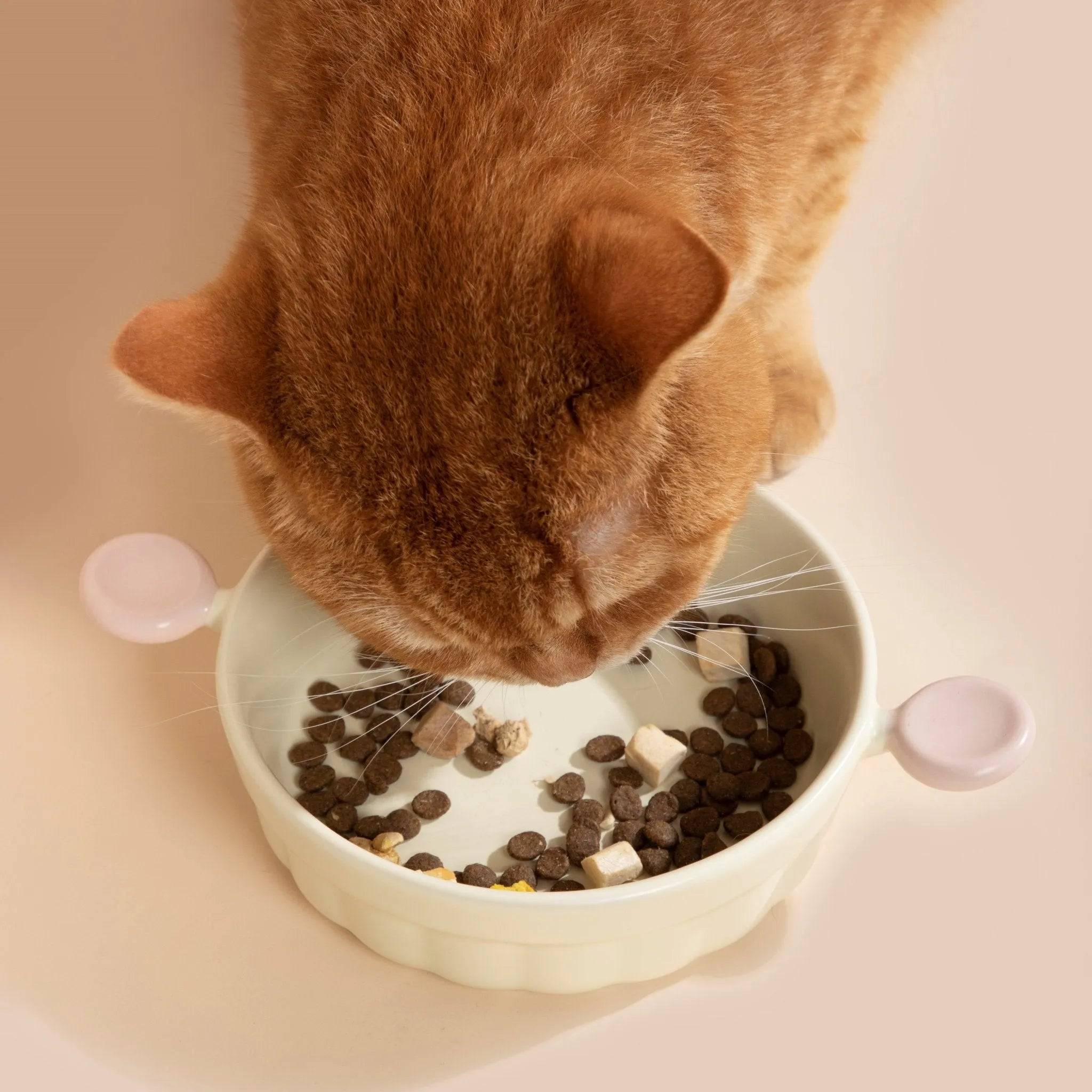Pet Ceramic Bowl - HiDream