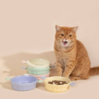 Pet Ceramic Bowl - HiDream