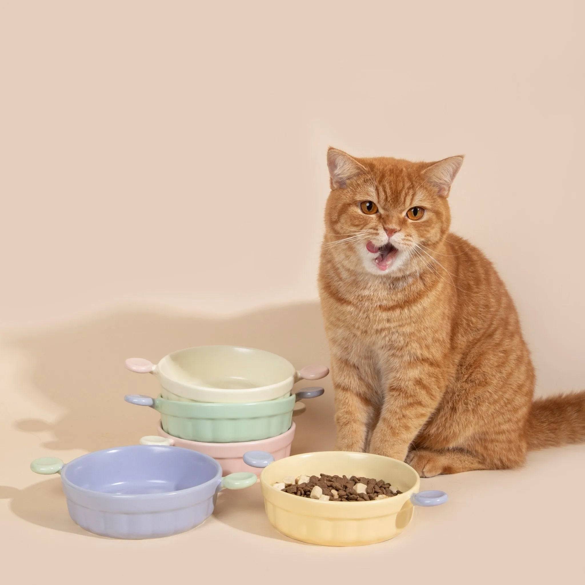 Pet Ceramic Bowl - HiDream