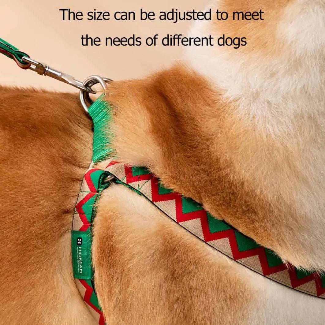 Rainbow Series - 'Y' Dog Harness Bundle - HiDream