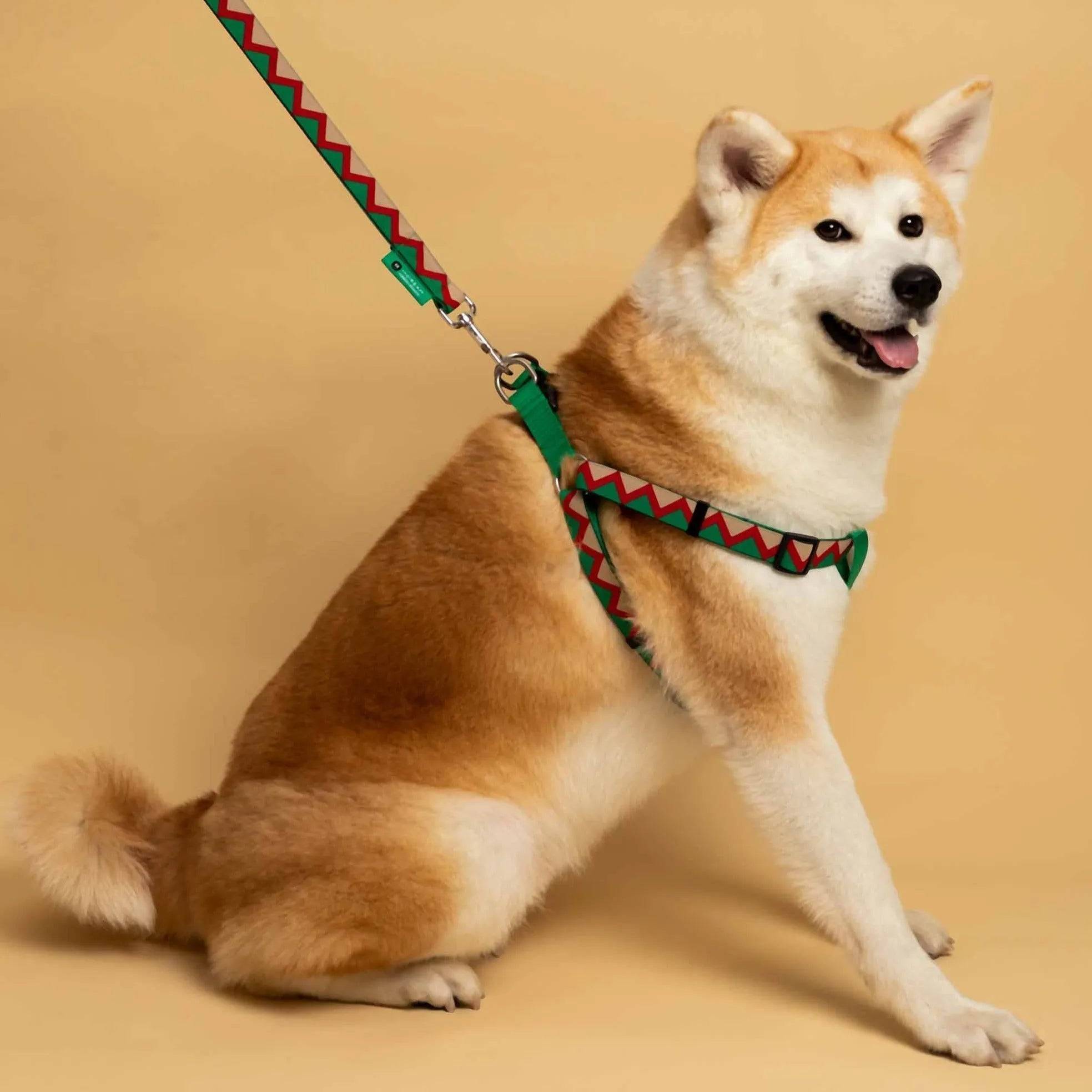 Rainbow Series - 'Y' Dog Harness Bundle - HiDream