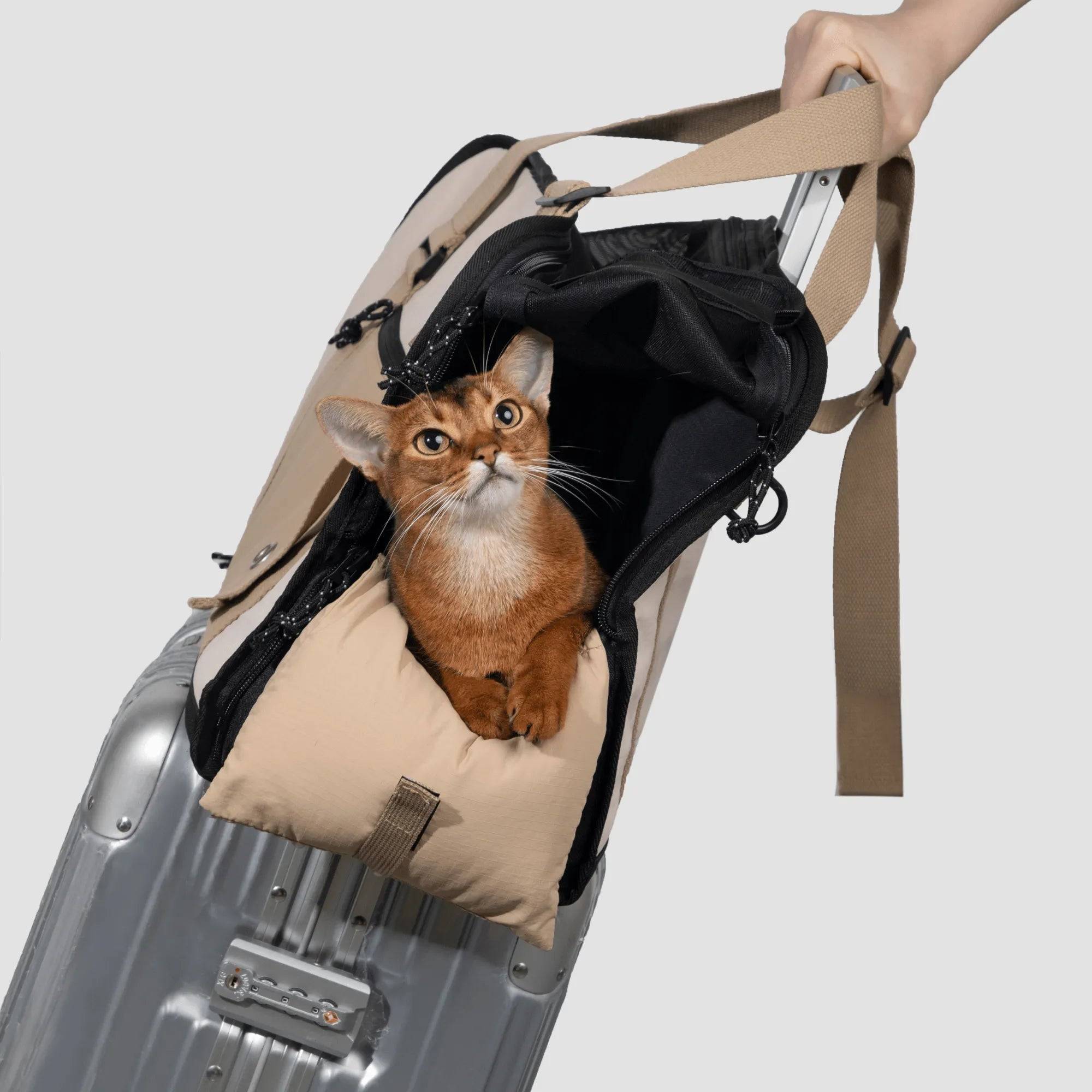 Cat in HiDREAM Sling Carrier placed on suitcase. A 3-in-1 semi-open papoose bag for stylish and mobile pet travel in Australia.