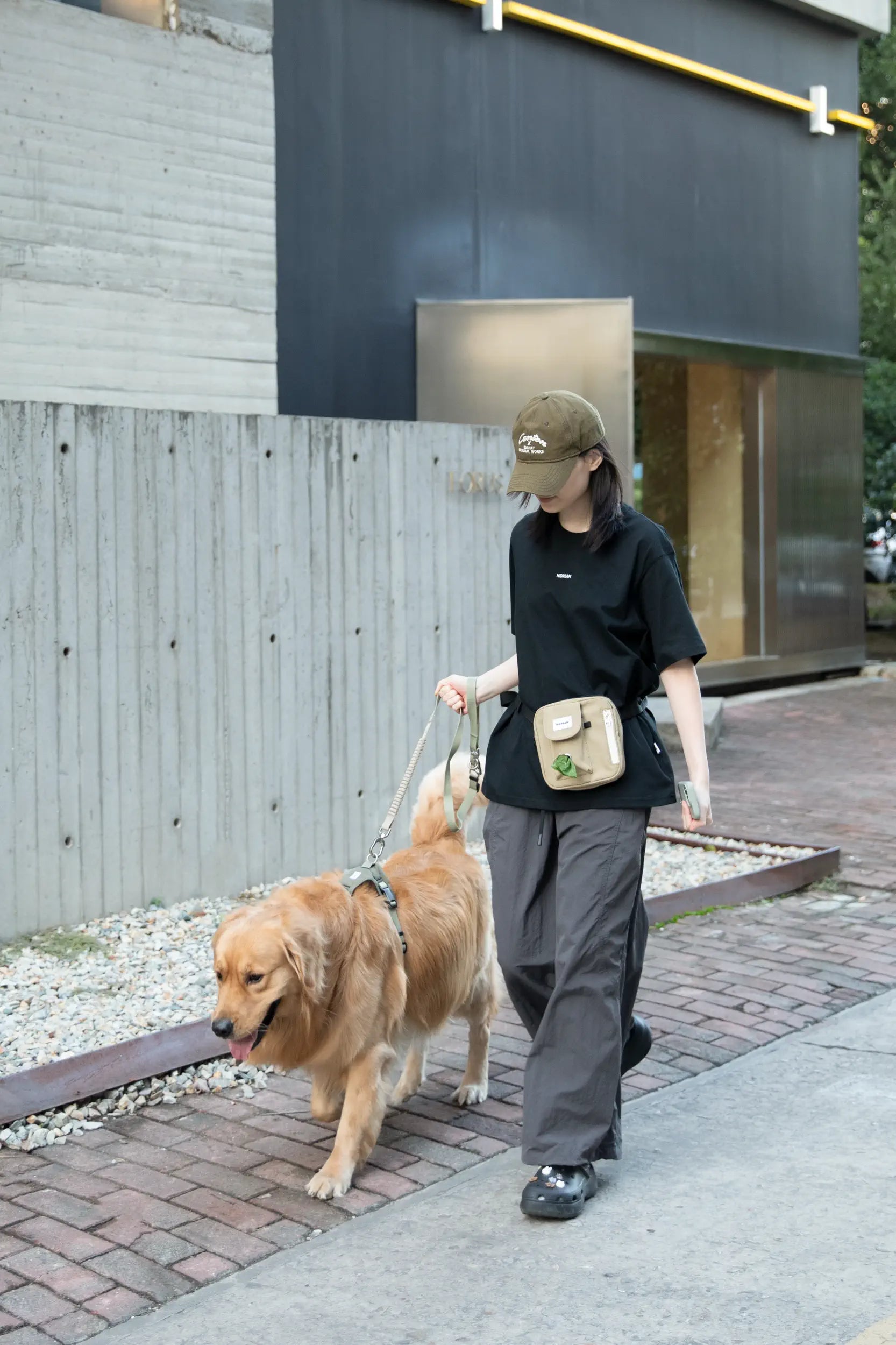HiDREAM Toast dog training treat pouch in Terracotta Brown worn on a dog walk